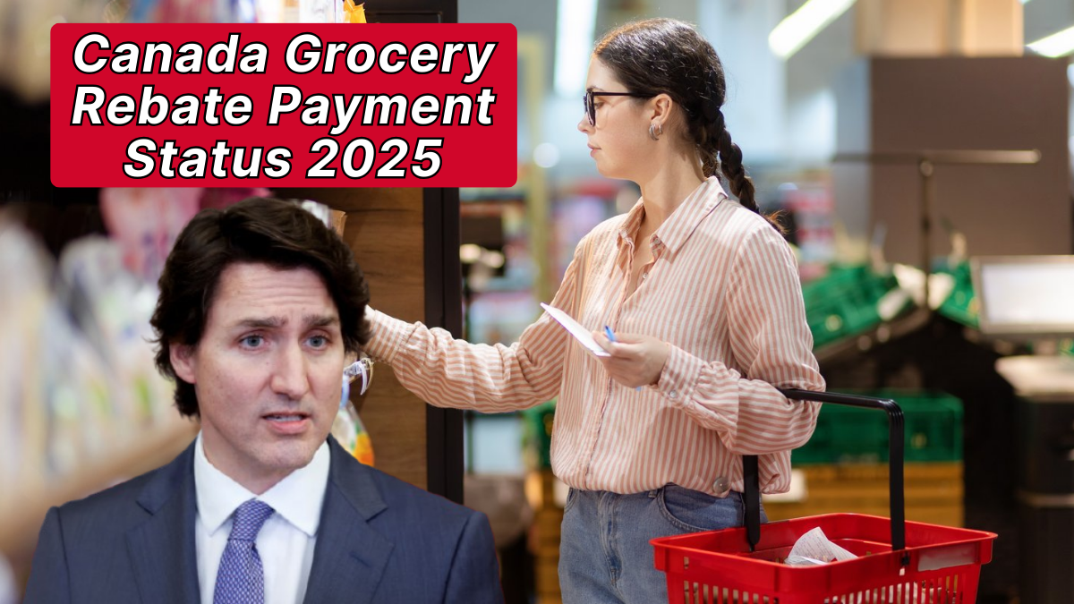 Canada Grocery Rebate Payment Status 2025